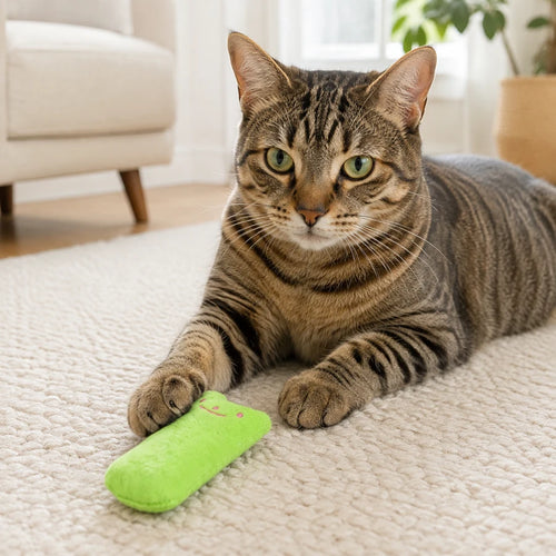 Green PETEE Mini Catnip Pillow in a PETEE real-use scene