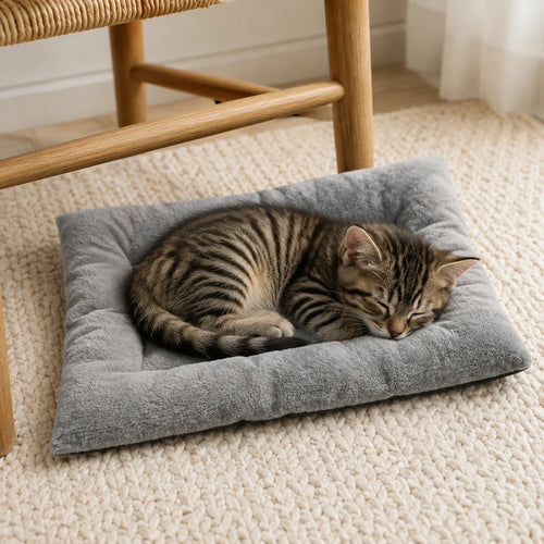 Grey · Small (40 × 30 cm) PETEE Little Nap Pad in a PETEE real-use scene