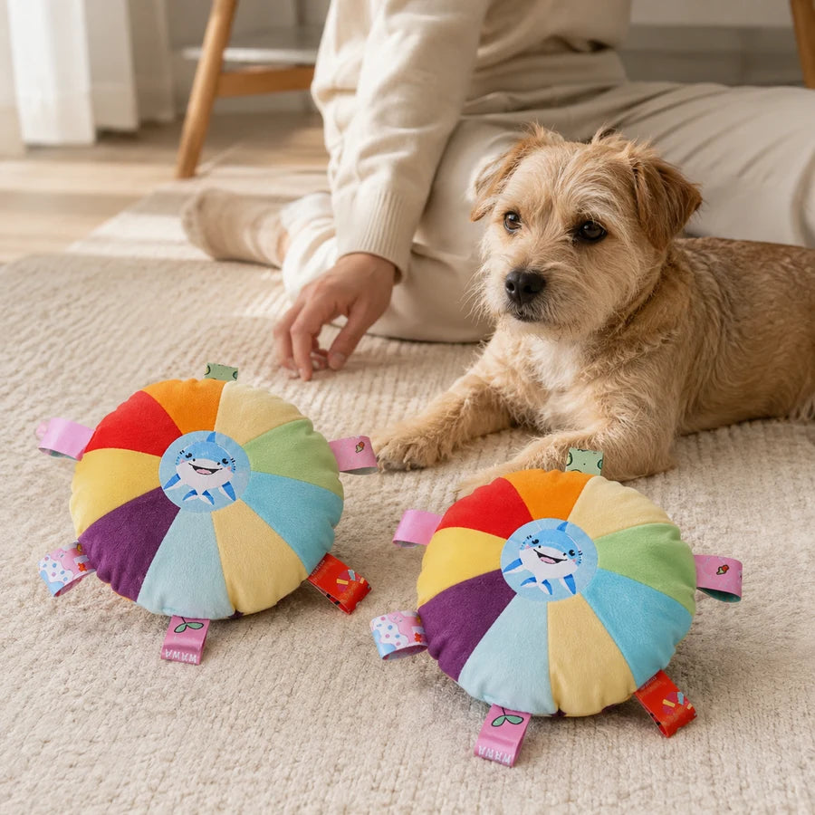 2 PCS PETEE Rainbow Toss & Play Plush Duo — PETEE September 7 lifestyle